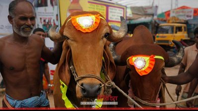ক্রেতার পছন্দ মানেই তো কাঙ্ক্ষিত মূল্যে বিক্রির সম্ভাবনা