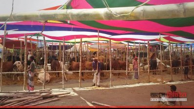 হাটে আছে ১০ হাজার গরু, সারাদিনে বিক্রি ২০০