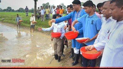 ধানের বীজ ছিটিয়ে কার্যক্রমের উদ্বোধন করেন জাতীয় সংসদের হুইপ ইকবালুর রহিম