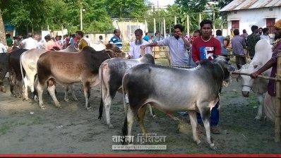 বিক্রেতা বেশি, ক্রেতা নেই তেমন (ছবি- প্রতিনিধি)
