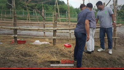 গরুর হাটে লাল স্কচটেপ দিয়ে মোড়ানো বোমা সদৃশ বস্তু