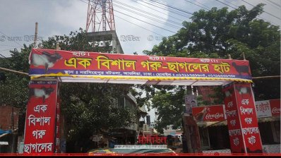 আশুলিয়ার নরসিংহপুর এলাকার কোরবানির পশুর হাট
