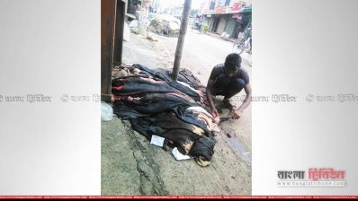 খলিনায় ব্যবসায়ীরা চামড়া পাচ্ছেন না, আগেই চলে গেছে ট্যানারিতে