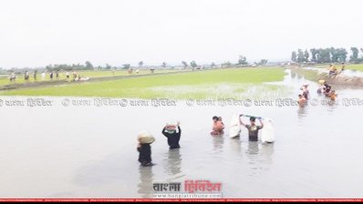 নিরাপদ আশ্রয়ের খোঁজে বিল-নদী-পাহাড় পাড়ি দিতে হচ্ছে তাদের
