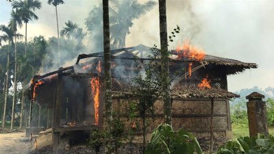 রাখাইনের জঙ্গলে লুকিয়ে থাকা রোহিঙ্গারা পানি আর ঘাস খেয়ে বেঁচে আছে: রয়টার্স