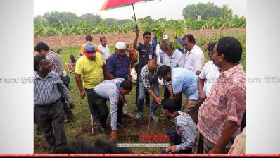 চুয়াডাঙ্গায় জেলা প্রশাসকের উদ্যোগে সাড়ে সাত লাখ বৃক্ষরোপণ
