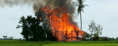 রাখাইনের জঙ্গলে লুকিয়ে থাকা রোহিঙ্গারা পানি আর ঘাস খেয়ে বেঁচে আছে: রয়টার্স