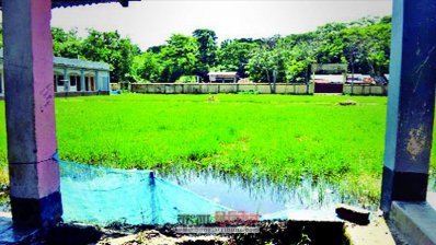 বরিশালে পপুলার মাধ্যমিক বিদ্যালয়ের খেলার মাঠে মাছ চাষ