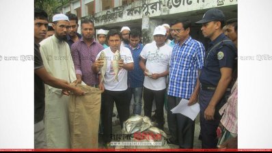 মনপুরায় জব্দ করা মা ইলিশ