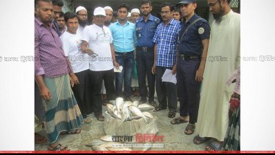 মনপুরায় জব্দ করা মা ইলিশ 