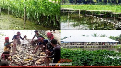 খামার করে ক্ষুধামুক্ত শিবপুরবাসী