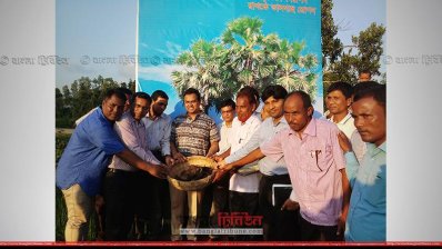 জেলা প্রশাসক আব্দুল আওয়াল তাল বীজ বপন কর্মসূচির উদ্বোধন করেন