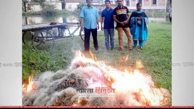 মতলবে কারেন্ট জাল জব্দের পর পুড়িয়ে ফেলা হয়