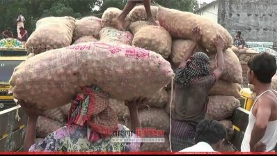 ট্রাকে তোলা হচ্ছে পেঁয়াজ (ছবি- প্রতিনিধি)