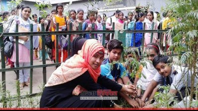 চারা রোপন