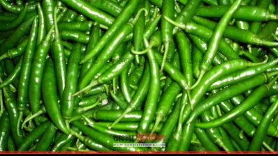 কাঁচামরিচ