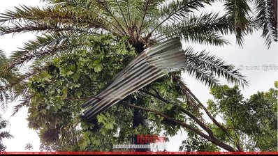 নাটোরে দুই ইউনিয়নে টর্নেডোর আঘাত 