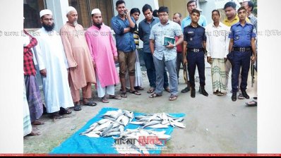জব্দ ইলিশ