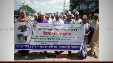 ইঁদুর নিধন অভিযানের উদ্বোধনী অনুষ্ঠানের র&zwnj;্যালি