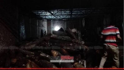 স`মিলে রাখা গাছ