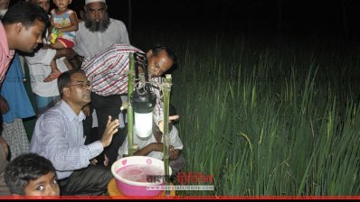 ধানের ক্ষেতে বসানো হয়েছে আলোক ফাঁদ