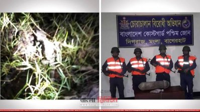 বিরল প্রজাতির তক্ষক ও ইস্ট ইন্ডিয়া কোম্পানির সময়ের পিলার উদ্ধার (ছবি: খুলনা প্রতিনিধি)
