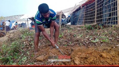 রোহিঙ্গা বসতি গড়তে সামাজিক বনায়ন ধ্বংস     