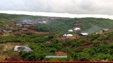 রোহিঙ্গা বসতি গড়তে সামাজিক বনায়ন ধ্বংস     
