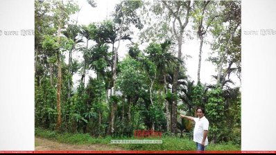 খাসিয়াদের জমিতে চা বাগানের পরিকল্পনা আ.লীগ নেতার, আতঙ্কে ২৭০ পরিবার