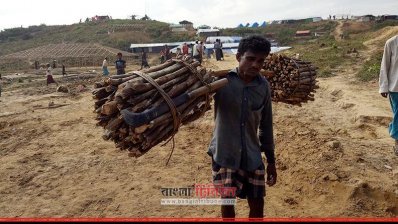 রোহিঙ্গা সংকট: বিকল্প জ্বালানির ব্যবস্থা না করলে উজাড় হবে বন