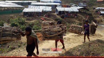 জ্বালানির জন্য বন থেকে লাকড়ি কেটে আনছে রোহিঙ্গারা