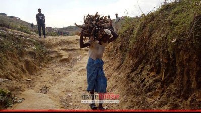 জ্বালানির জন্য বন থেকে লাকড়ি কেটে আনছেন এক রোহিঙ্গা