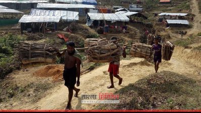 জ্বালানির জন্য বন থেকে লাকড়ি কেটে আনছে রোহিঙ্গারা