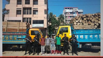 জব্দ ৭১৭ ঘন ফুট চেরাই কাঠ