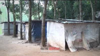 গাছতলায় ছাপড়ার নিচে এভাবেই কাটছে তাদের জীবন