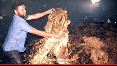 আগুনে ক্ষতিগ্রস্ত পাট