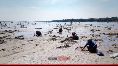 কয়লার সন্ধানে বালু খুঁড়ছেন শ্রমিকরা (ছবি- প্রতিনিধি)