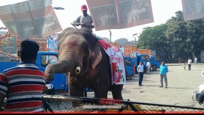 শোভাযাত্রার জন্য হাতিও আনা হয়েছে