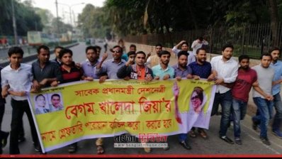 ছাত্রদলের মিছিল