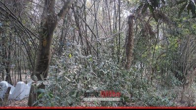 নওগাঁর ২৭টি বধ্যভূমি সংরক্ষণের উদ্যোগ নেই