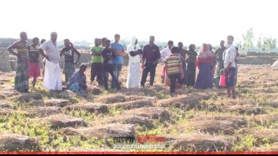 কৃষি জমি দখল করে ইট ভাটা নির্মাণের অভিযোগ