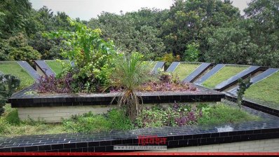 আট শহীদের কবর (ছবি- প্রতিনিধি)