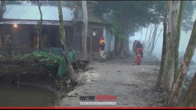ঘন কুয়াশা ও হিম বাতাসে কাঁপুনি উঠেছে গাইবান্ধার চরাঞ্চলে