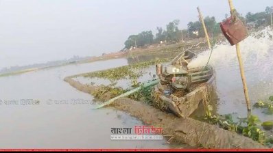 বীজতলা রক্ষায় কৃষকদের চেষ্টা