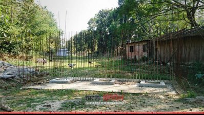 বান্দরবানে উন্নয়ন কাজ বন্ধ ঘোষণা করেছেন ঠিকাদাররা