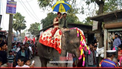 হাতির পিঠে চড়ে শ্বশুরবাড়ি যাচ্ছেন বর