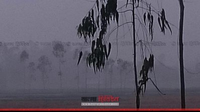 শৈত্য প্রবাহের কারণে ঘন কুয়াশা পড়ছে