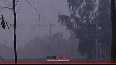 শৈত্য প্রবাহের কারণে ঘন কুয়াশা পড়ছে