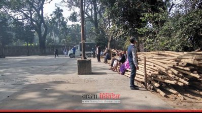 শীত ঠেকাতে রোদের আশ্রয়