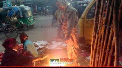 হাড় কাঁপানো শীতে কাঁপছে বগুড়া